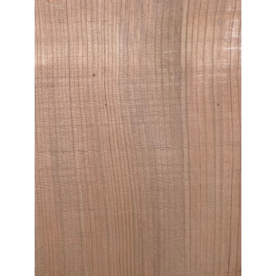 Lebanon Cedar