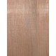 Lebanon Cedar