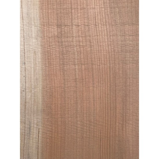 Lebanon Cedar