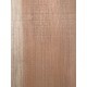 Lebanon Cedar