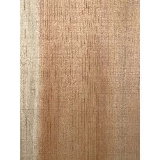 Lebanon Cedar