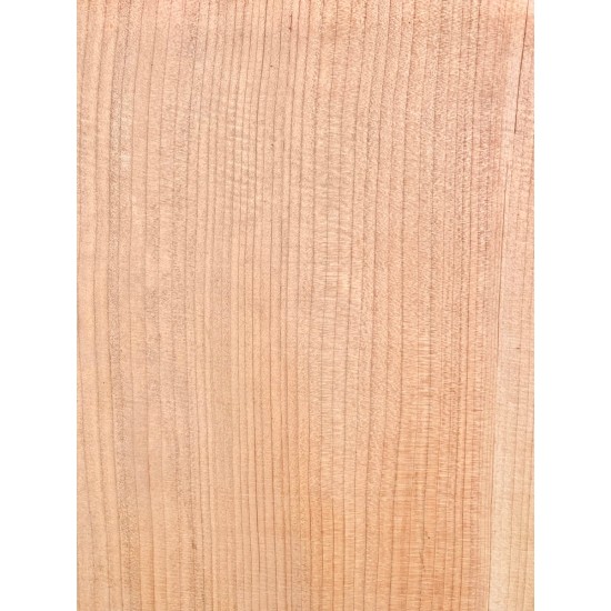 Lebanon Cedar