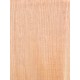 Lebanon Cedar