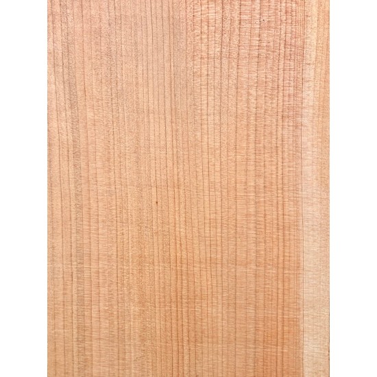 Lebanon Cedar
