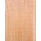Lebanon Cedar