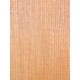 Lebanon Cedar
