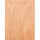 Lebanon Cedar