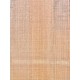 Lebanon Cedar