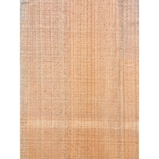Lebanon Cedar