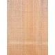 Lebanon Cedar