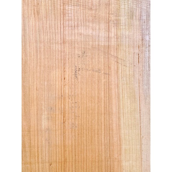 Lebanon Cedar