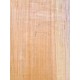 Lebanon Cedar