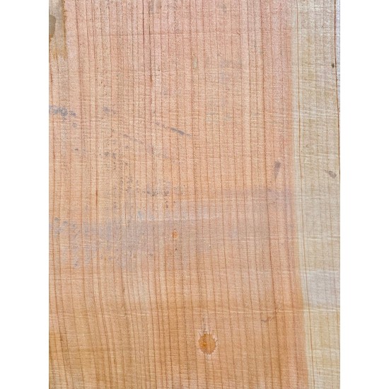 Lebanon Cedar