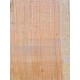 Lebanon Cedar