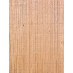 Lebanon Cedar