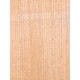 Lebanon Cedar