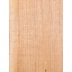 Lebanon Cedar