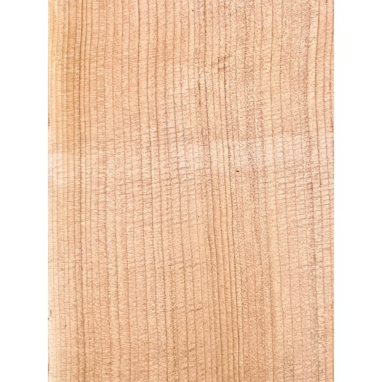 Lebanon Cedar