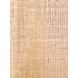 Lebanon Cedar