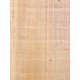 Lebanon Cedar