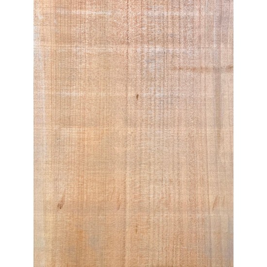 Lebanon Cedar