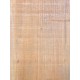 Lebanon Cedar