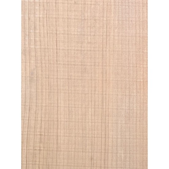 Lebanon Cedar