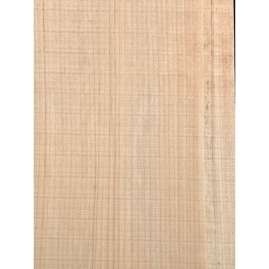 Lebanon Cedar