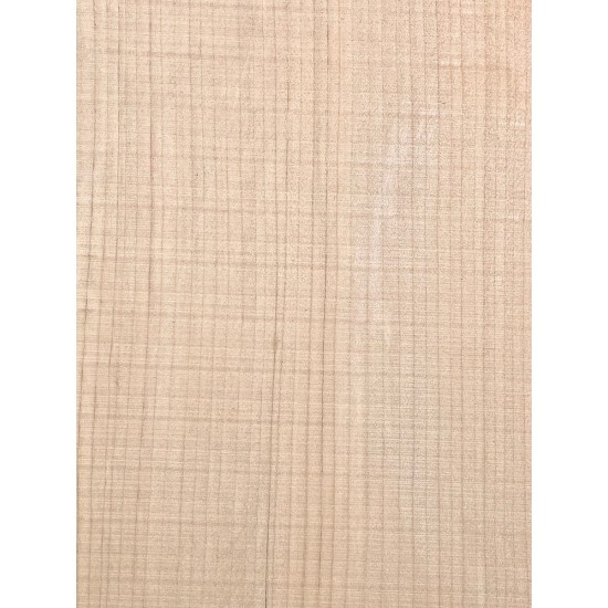Lebanon Cedar