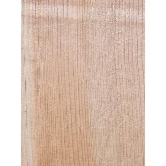 Lebanon Cedar