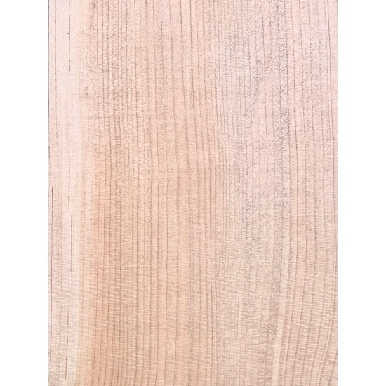 Lebanon Cedar