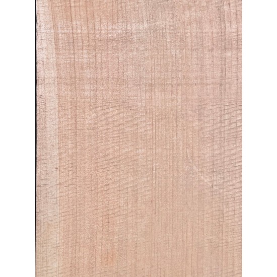 Lebanon Cedar