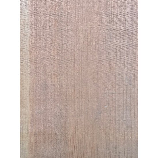 Lebanon Cedar