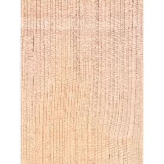 Lebanon Cedar