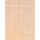 Lebanon Cedar