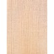 Lebanon Cedar
