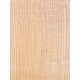 Lebanon Cedar
