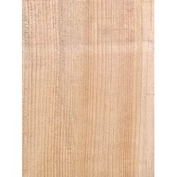 Lebanon Cedar
