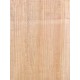 Lebanon Cedar