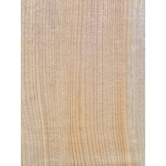 Lebanon Cedar