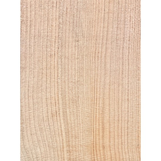 Lebanon Cedar