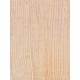 Lebanon Cedar
