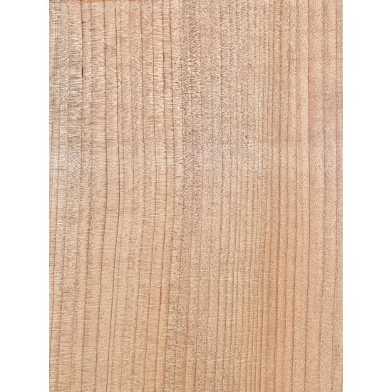 Lebanon Cedar