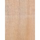 Lebanon Cedar