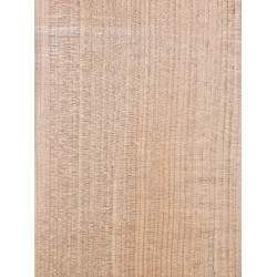 Lebanon Cedar