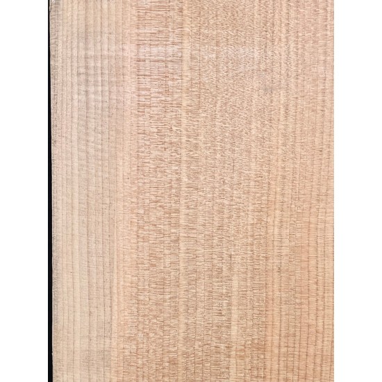 Lebanon Cedar