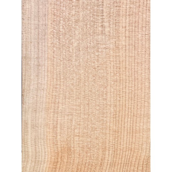 Lebanon Cedar
