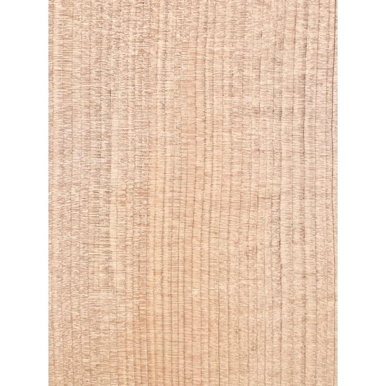 Lebanon Cedar