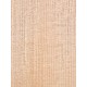 Lebanon Cedar
