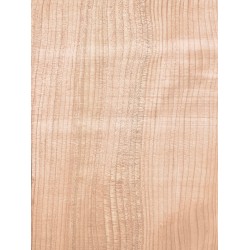 Lebanon Cedar